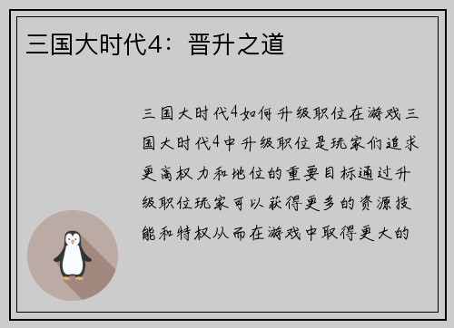 三国大时代4：晋升之道